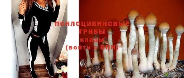 экстази Алексеевка