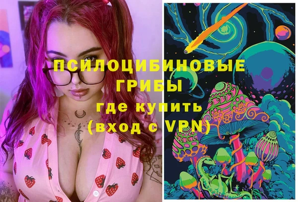 стафф Алексин