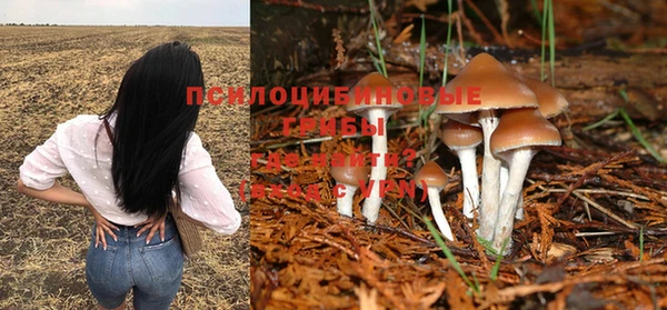 стафф Алексин
