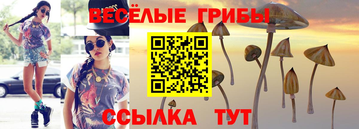 купить  цена  Вход с VPN  Галлюциногенные грибы прущие грибы  Гурьевск  Псилоцибиновые грибы MAGIC MUSHROOMS 